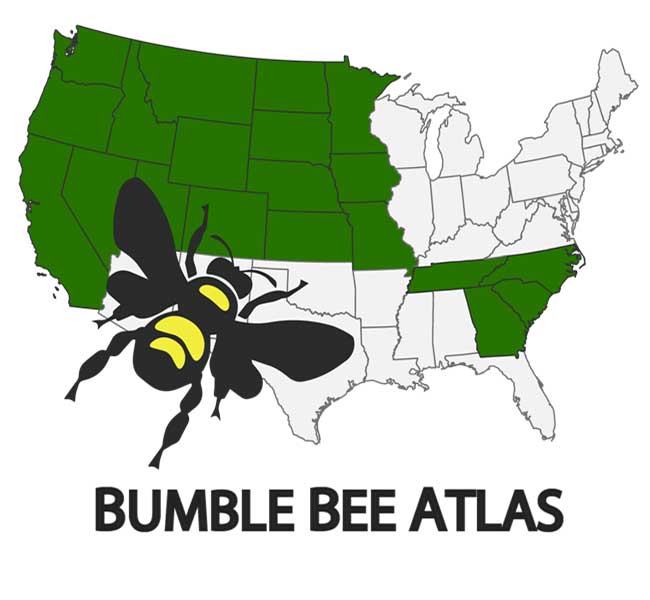 Bumble Bee Atlas Map